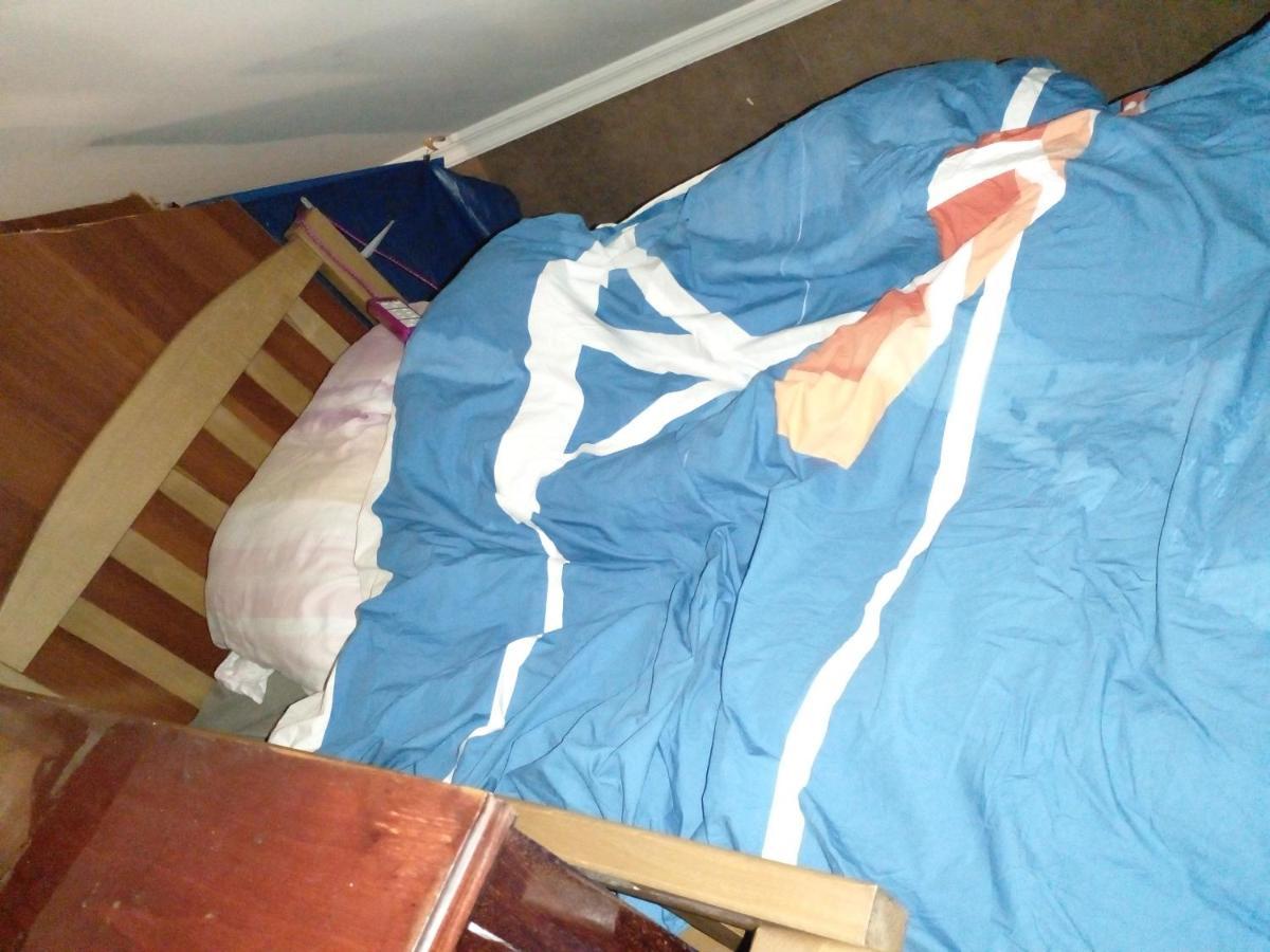Blue Hostel - Check Message After Booking تبليسي المظهر الخارجي الصورة